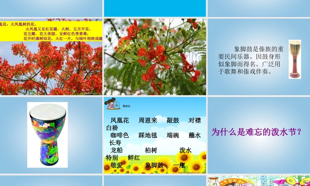 二年级语文下册难忘的泼水节1课件鄂教版