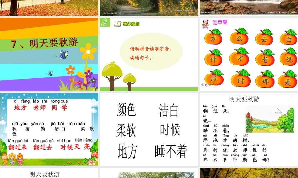 明天要秋游课件