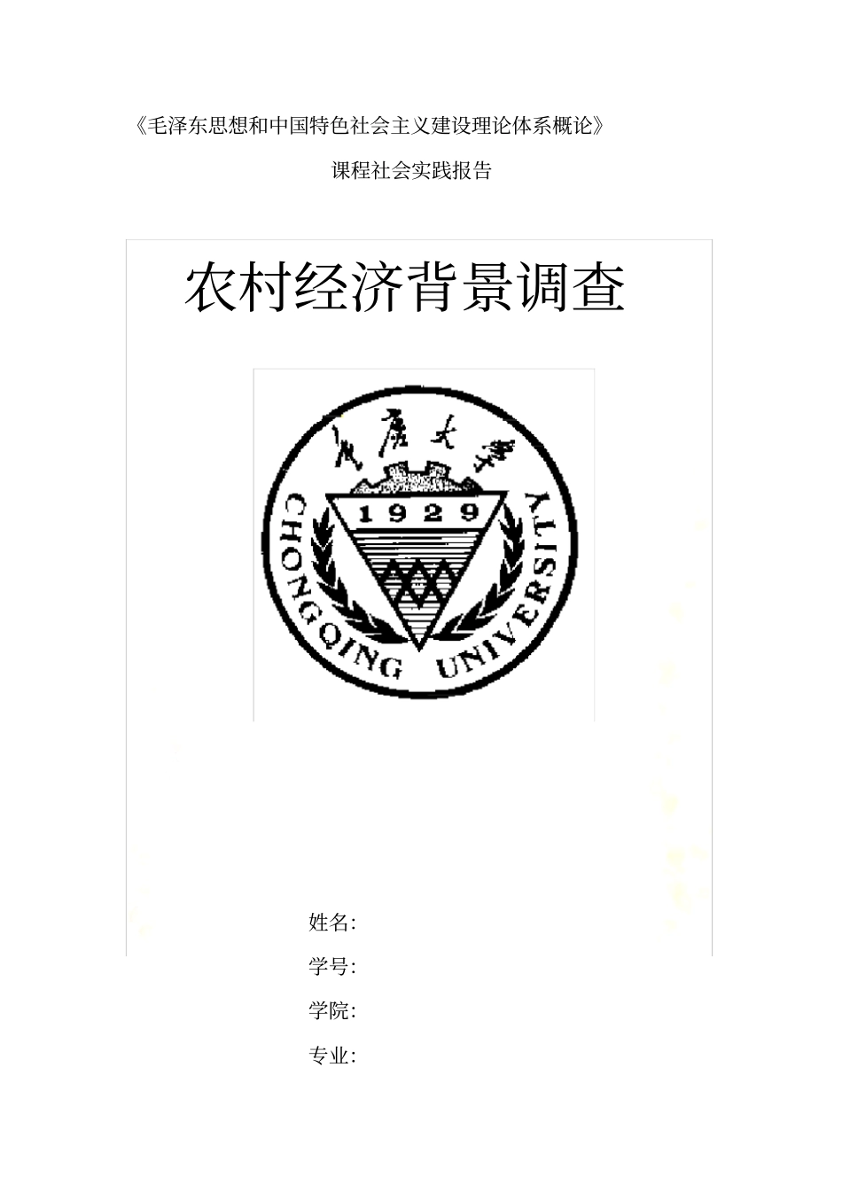 农村家庭情况调查表_第2页