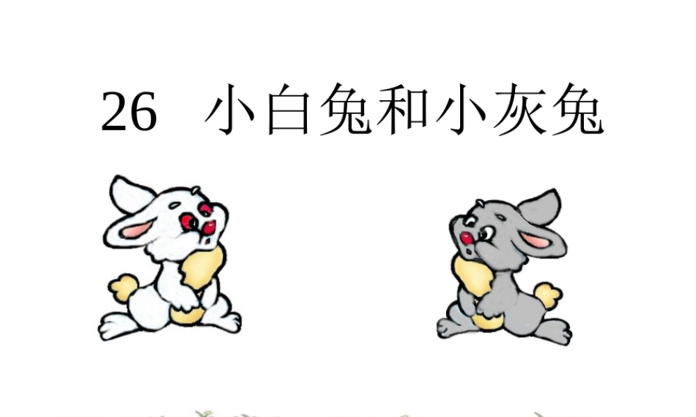 小白兔和小灰兔课件