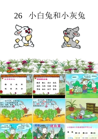 小白兔和小灰兔课件