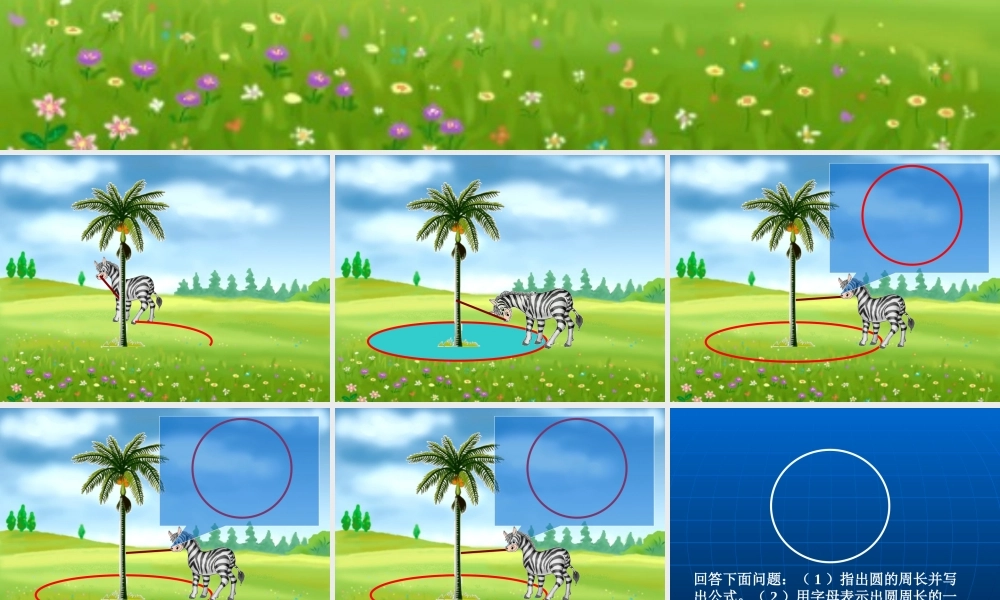 《圆的面积》PPT课件