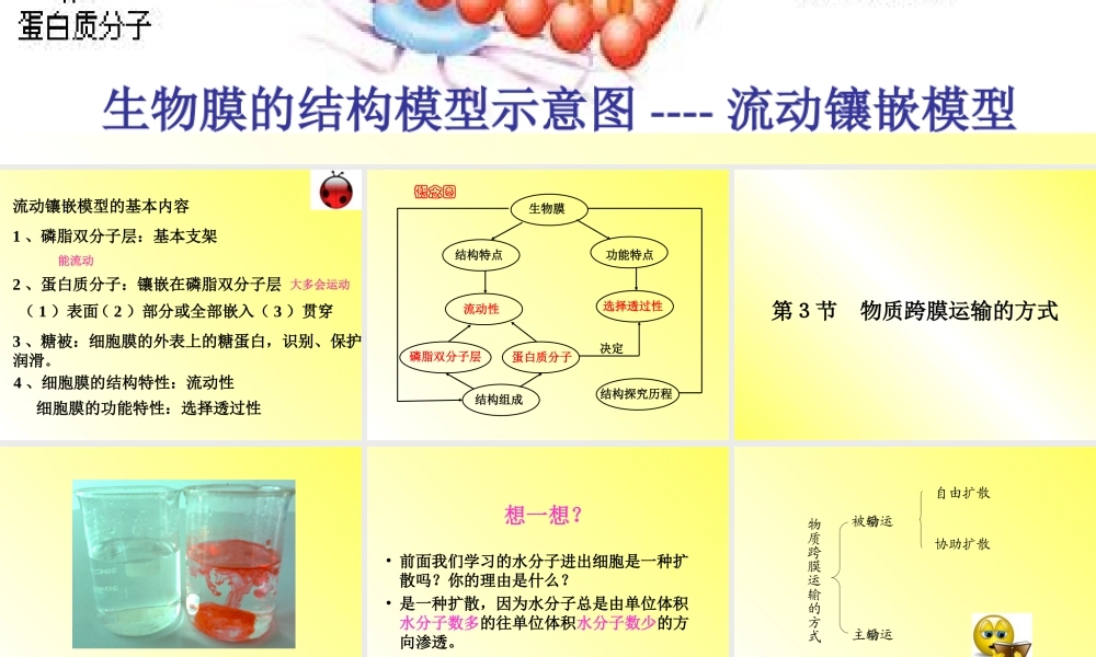 第3节_物质跨膜运输的方式