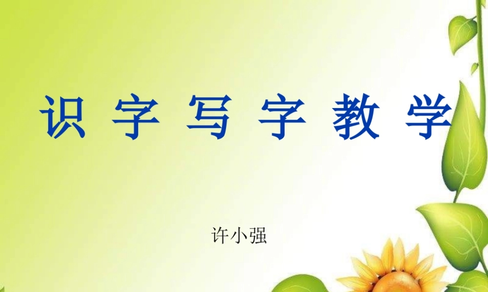 《识字写字》PPT教学课件