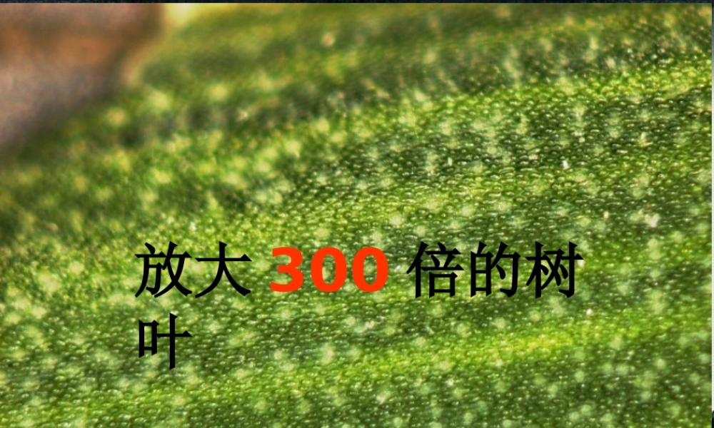 分子和原子课件