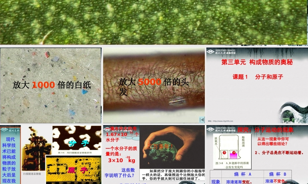 分子和原子课件