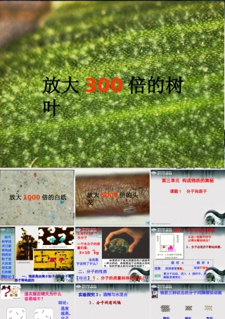 分子和原子课件