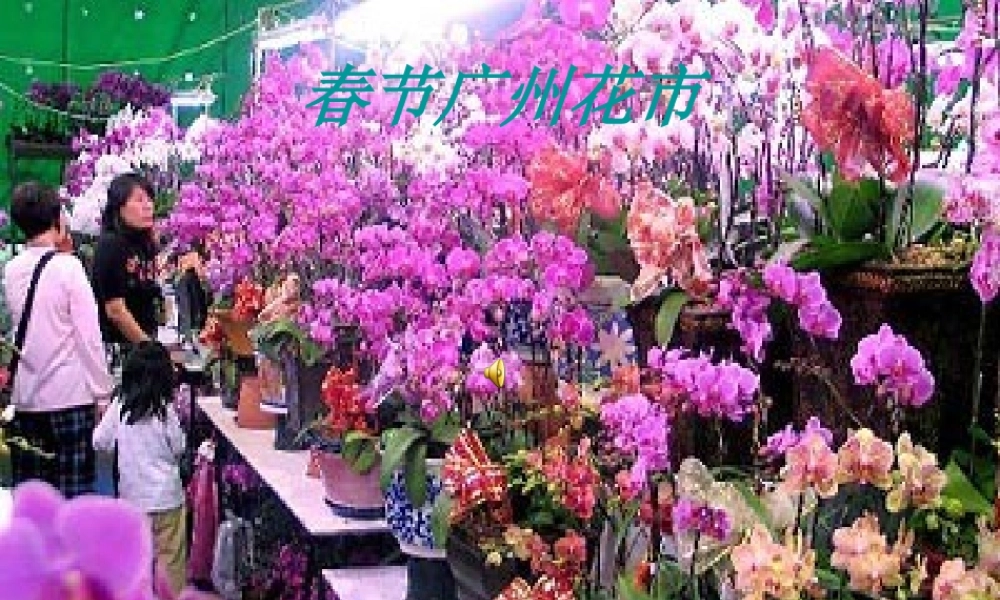 八年级地理上册中国的气候课时1