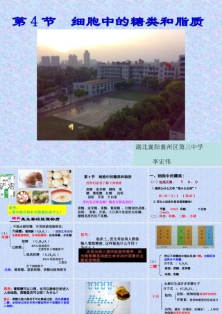 第4节细胞中的糖类和脂质88