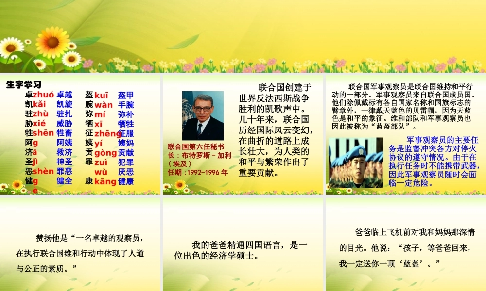 《一个中国孩子的呼声》教学课件2