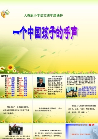 《一个中国孩子的呼声》教学课件2