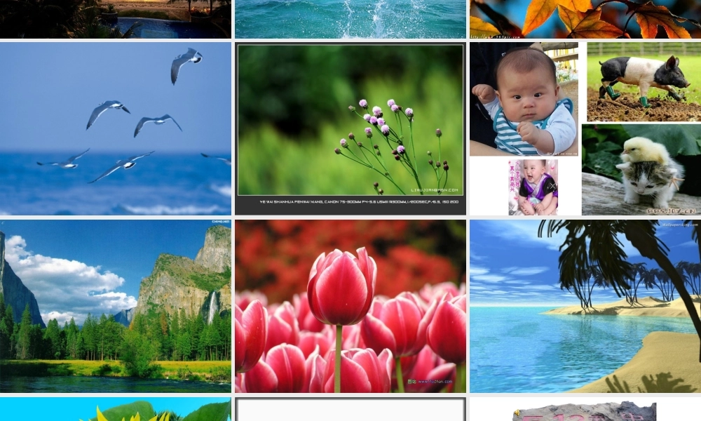 丰富多样的情绪(修改)