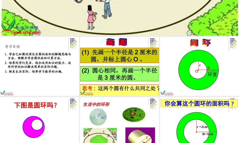 人教新课标数学六年级上册《圆环面积1》PPT课件