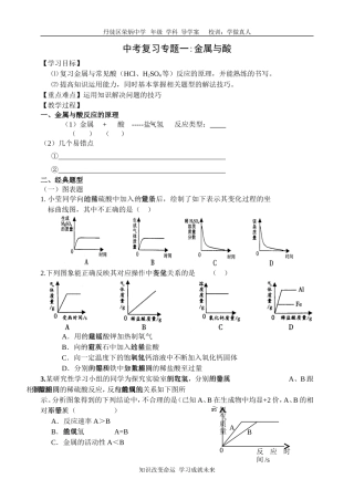 中考复习专题一金属与酸