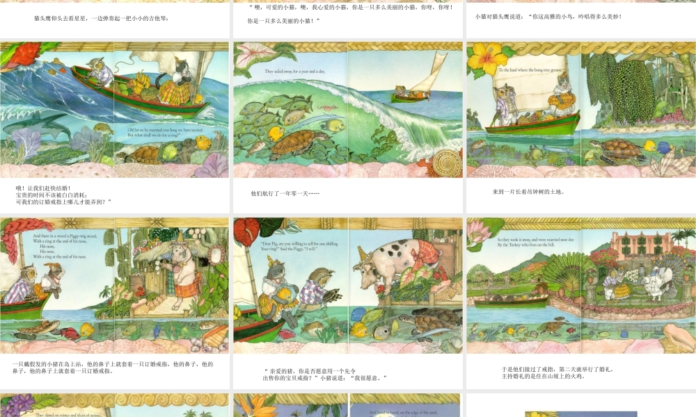 猫头鹰和小猫绘本