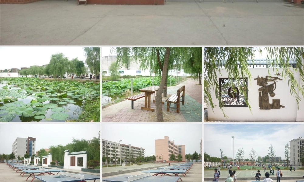 《平面向量的基本定理》课件（新人教A版必修4）