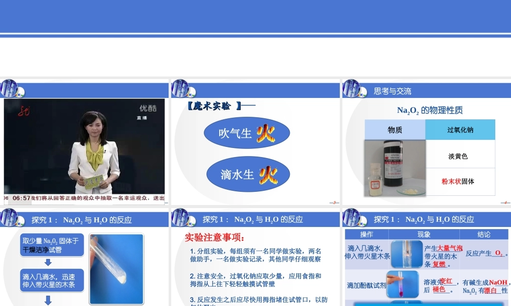 钠的重要的化合物