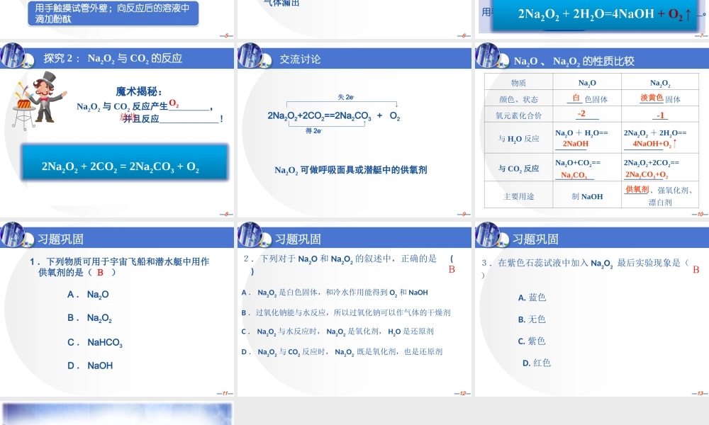 钠的重要的化合物