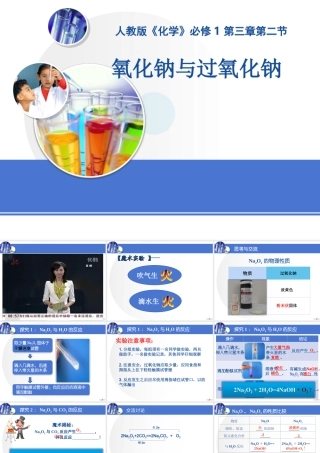 钠的重要的化合物