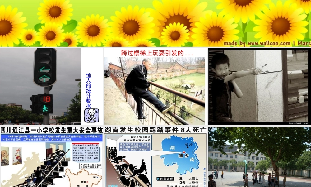 安全伴我校园行---主题班会课件