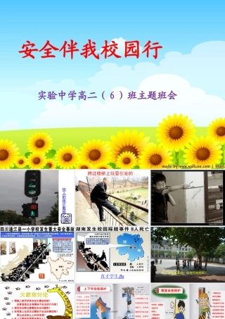 安全伴我校园行---主题班会课件