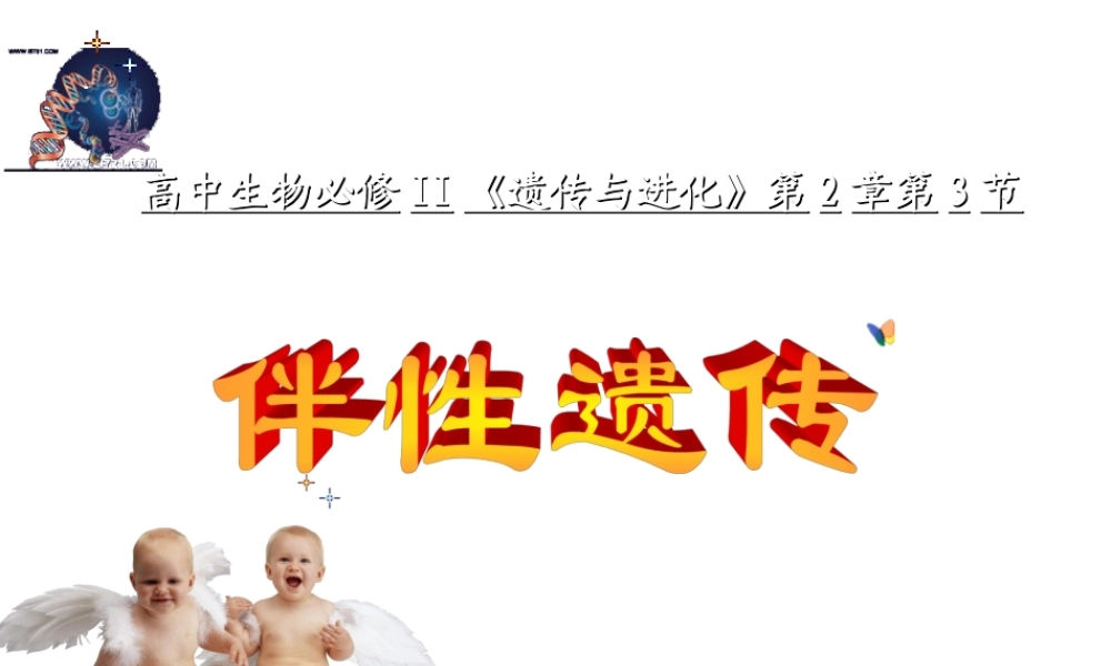 姜珊伴性遗传