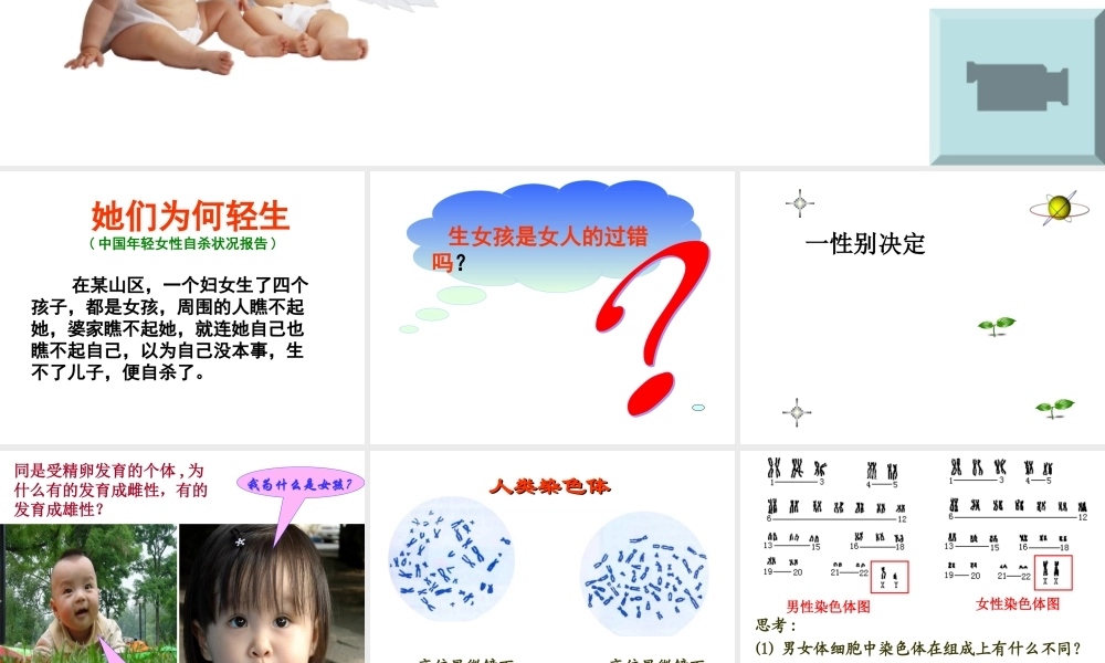 姜珊伴性遗传
