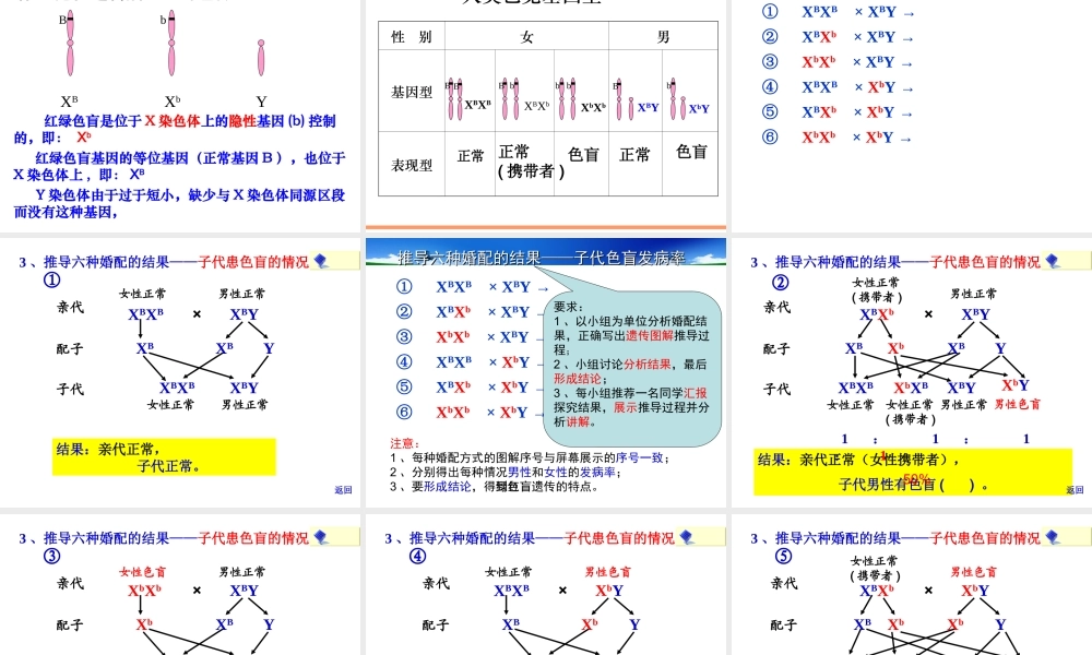 姜珊伴性遗传
