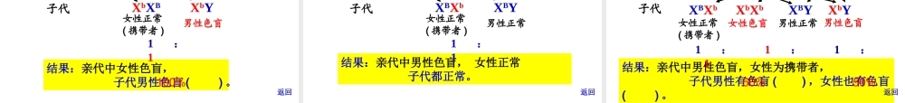 姜珊伴性遗传