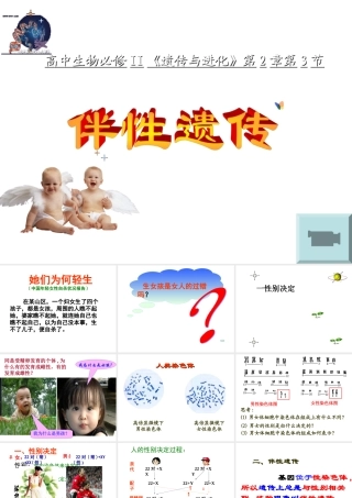 姜珊伴性遗传