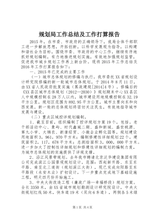 规划局工作总结及工作打算报告