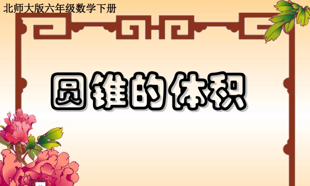 六年级数学圆锥的体积1