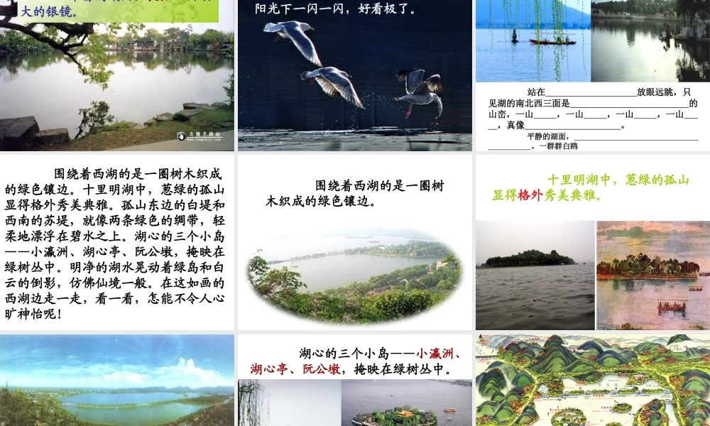 苏教版语文_二年级上_西湖课件