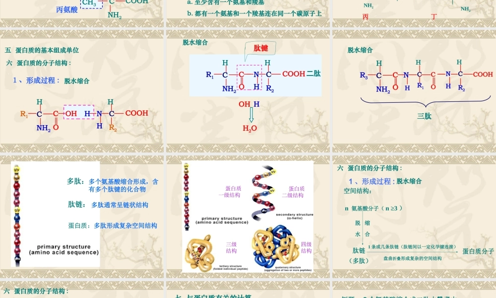 生命活动的主要承担者蛋白质课件人教版必修