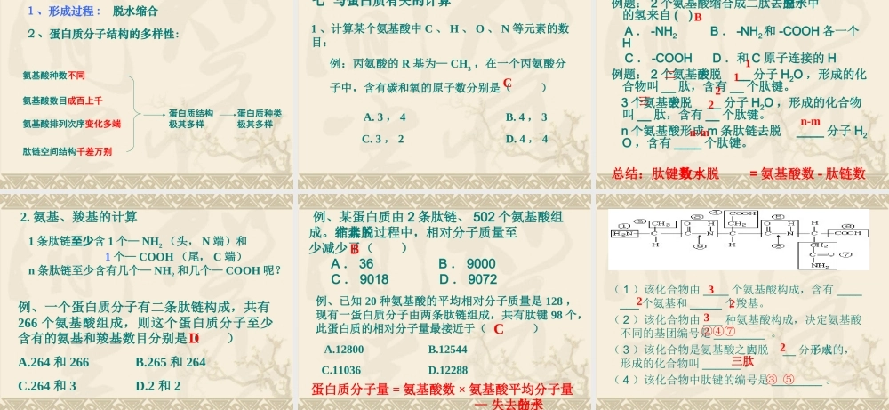 生命活动的主要承担者蛋白质课件人教版必修