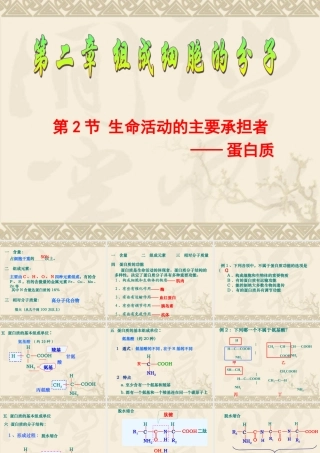 生命活动的主要承担者蛋白质课件人教版必修