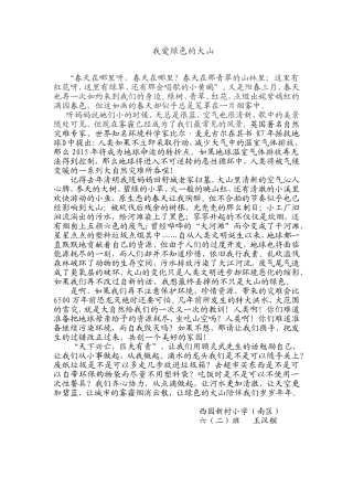 我爱绿色的大山
