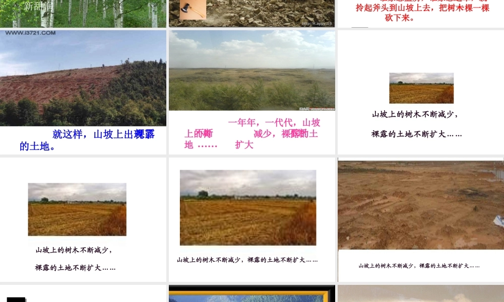 一个小村庄的故事课件 (2)