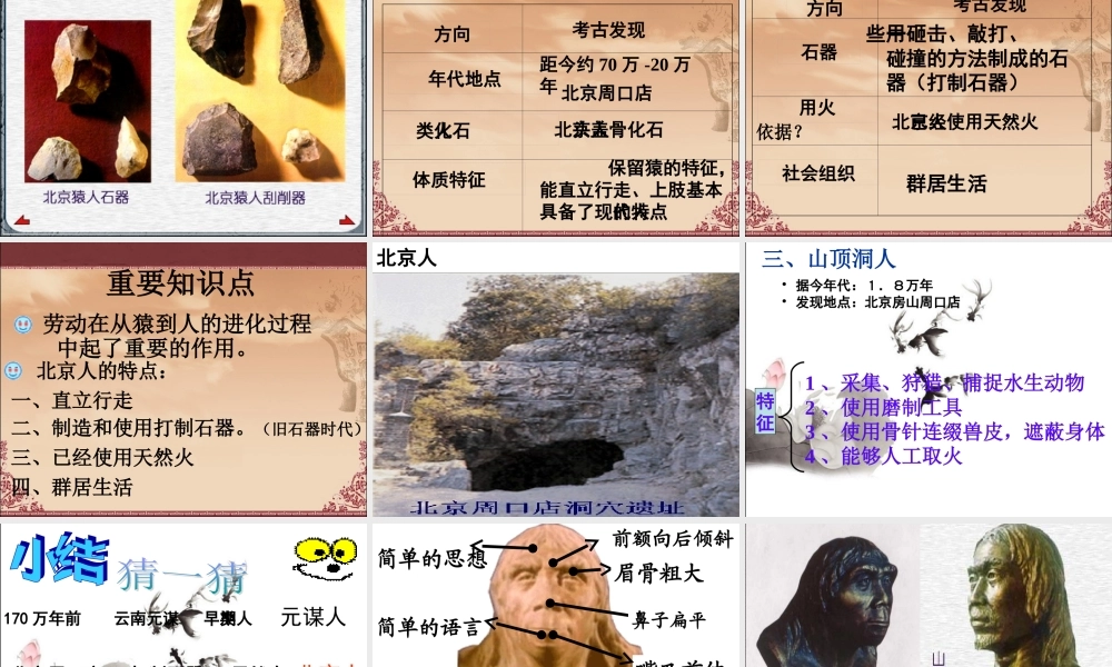 第1课中华大地的远古人新