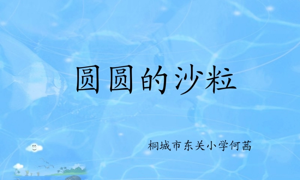 圆圆的沙粒课件
