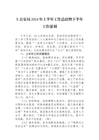 X公安局2024年上半年工作总结暨下半年工作谋划