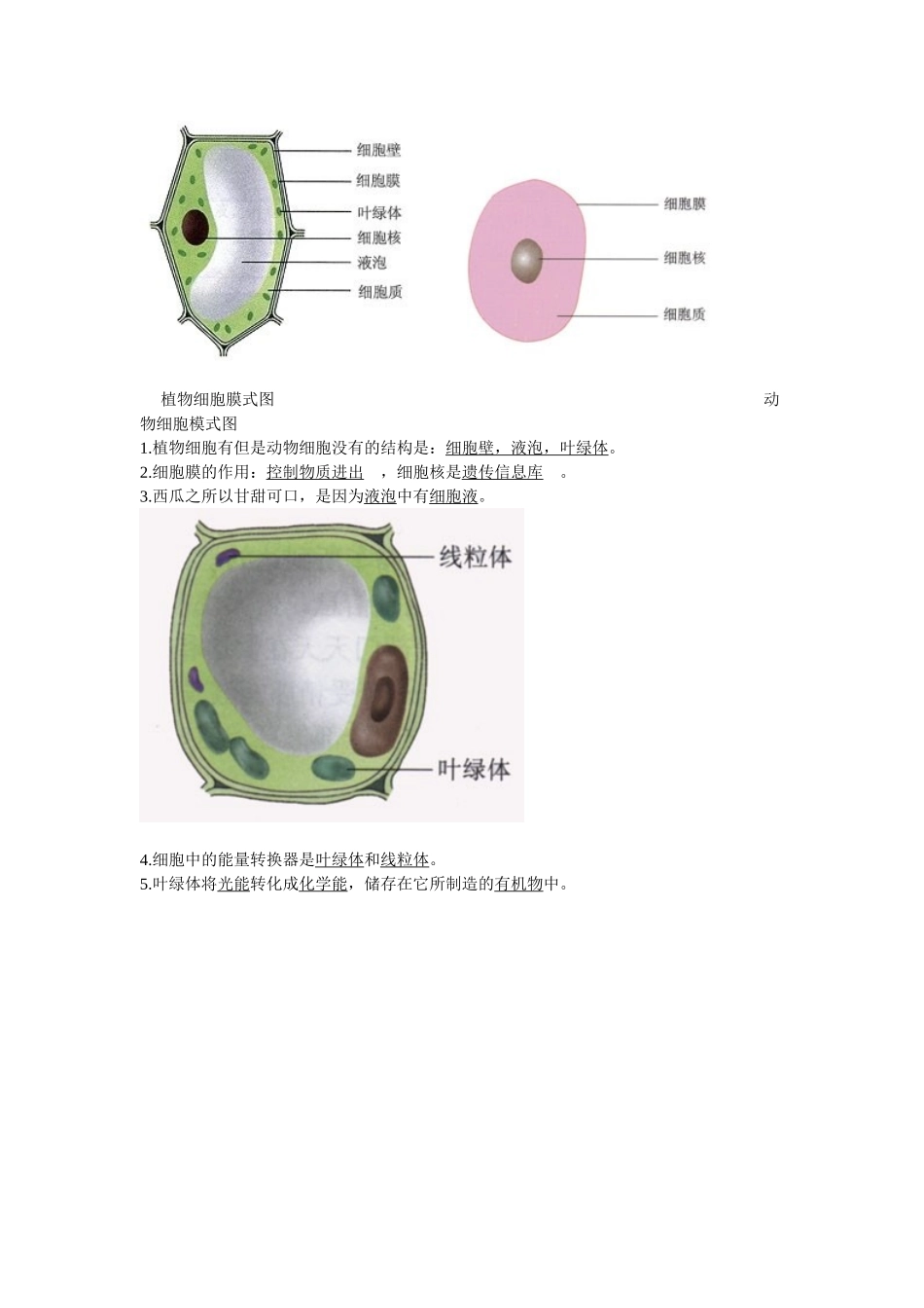 生物会考复习资料：初中生物图集(附题目)(人教版)_第1页