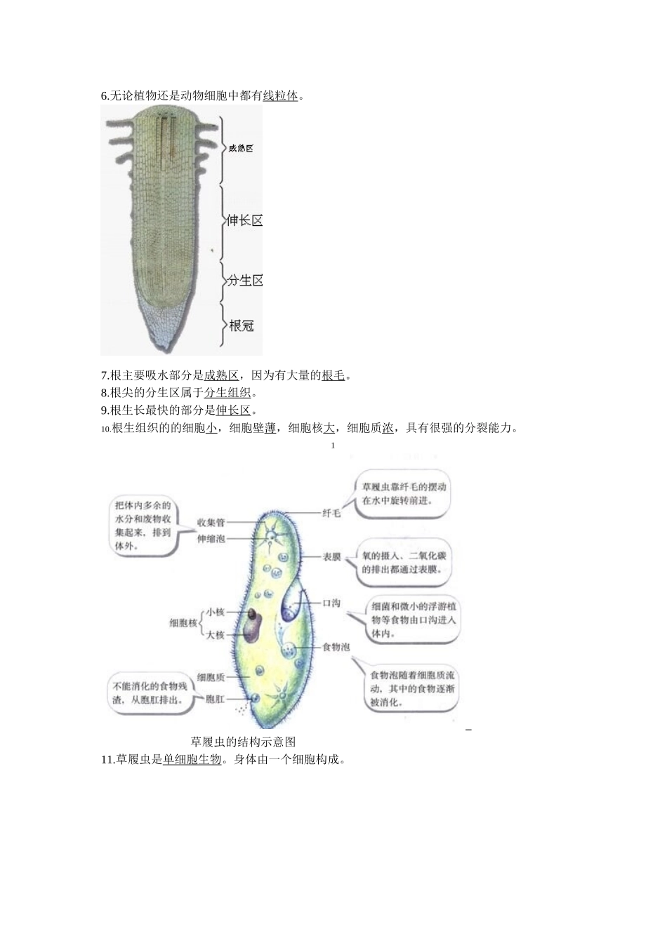 生物会考复习资料：初中生物图集(附题目)(人教版)_第2页