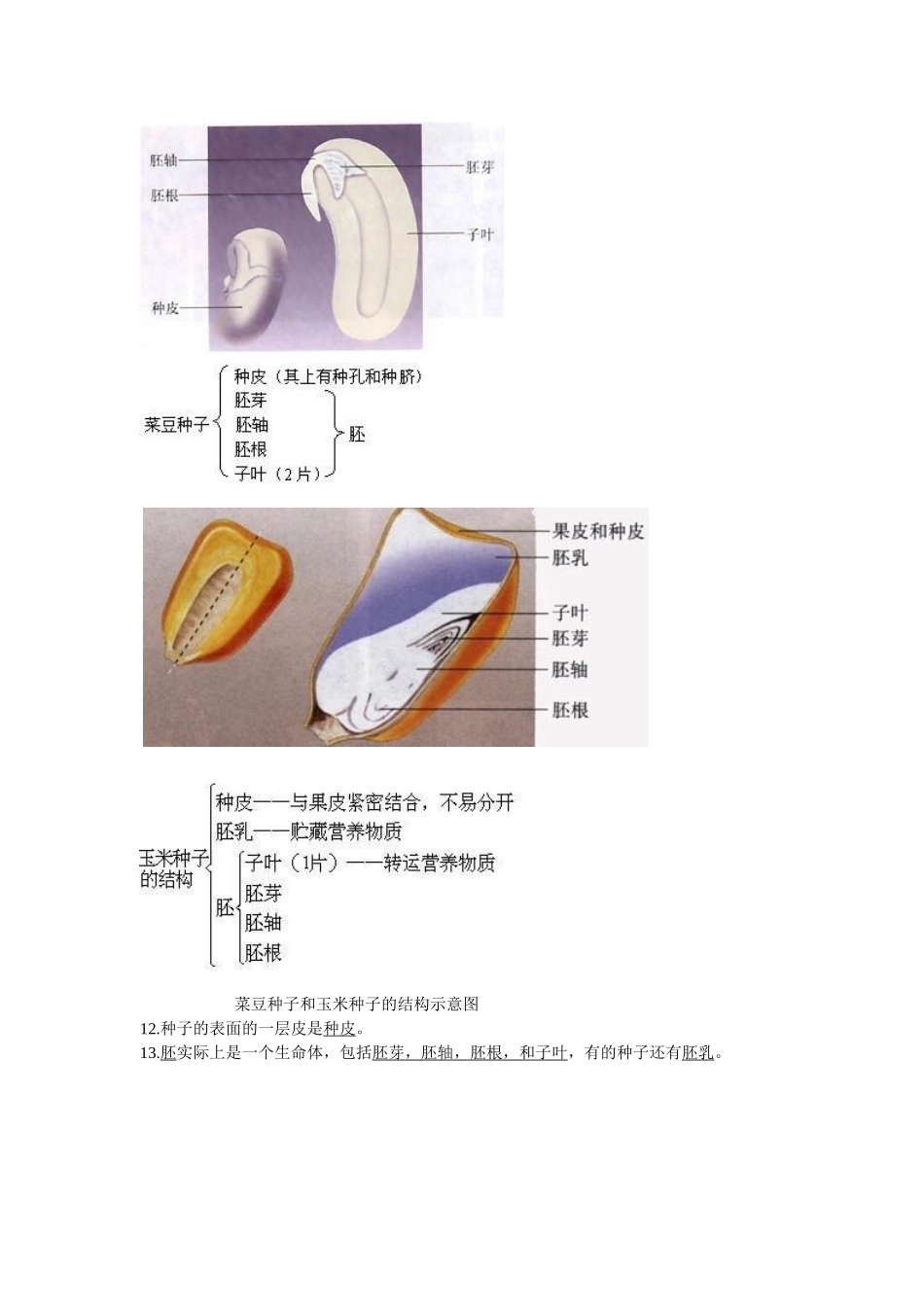 生物会考复习资料：初中生物图集(附题目)(人教版)_第3页