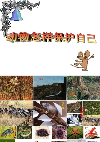 动物怎样保护自己