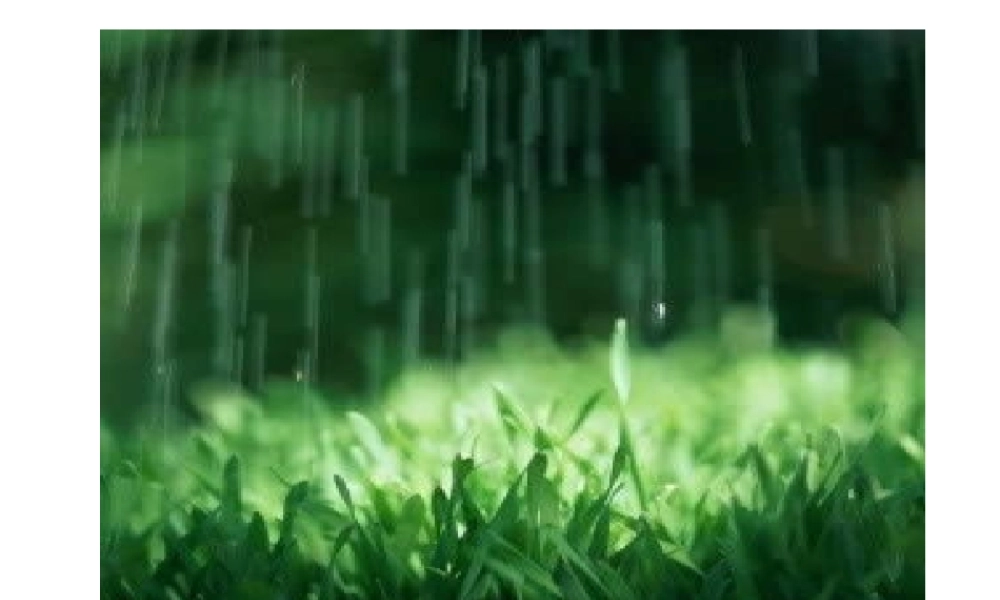 酸的化学性质 (2)