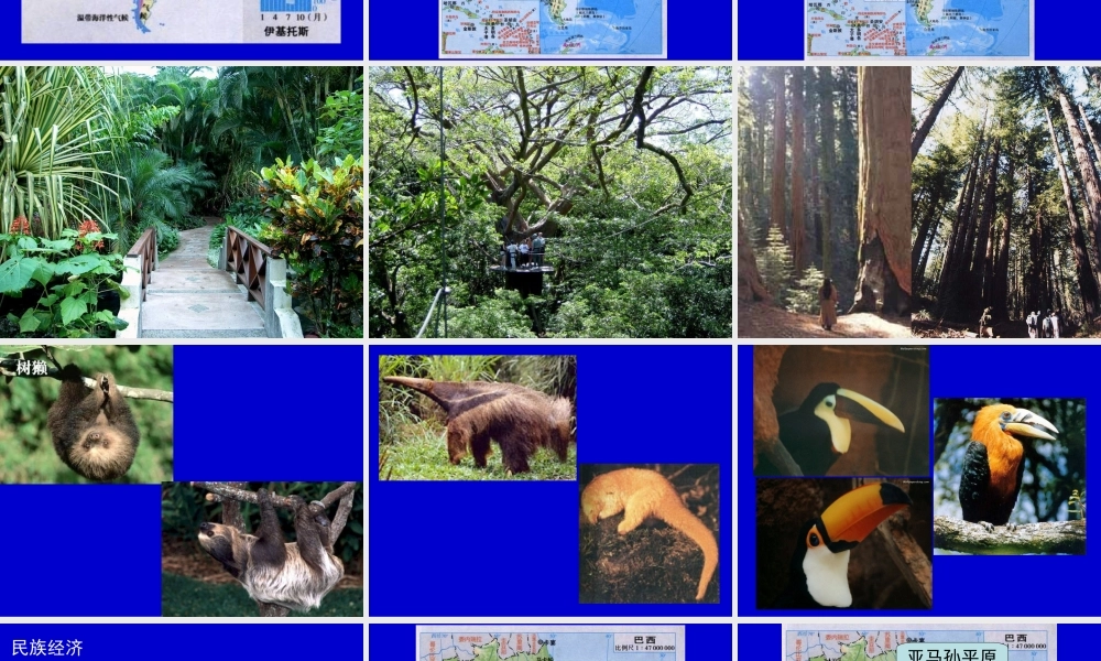 高中世界地理----拉丁美洲课件