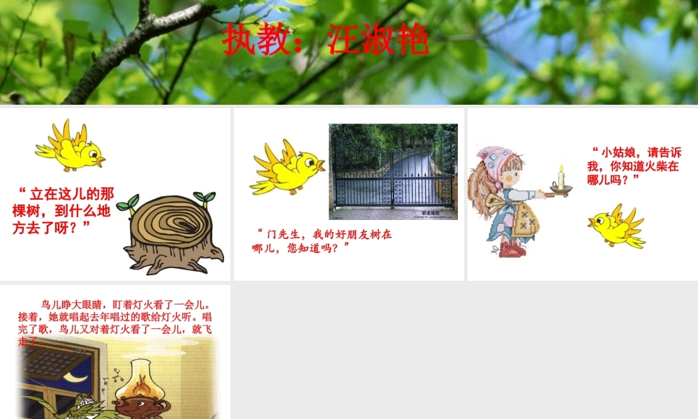 优秀教案评比_去年的树__课件