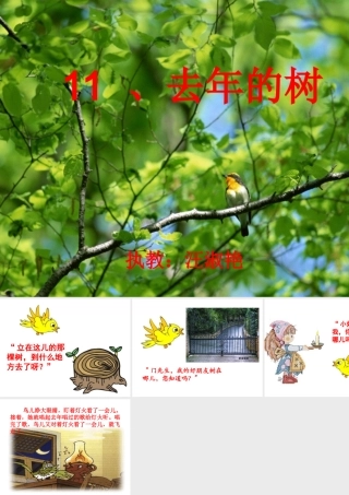 优秀教案评比_去年的树__课件