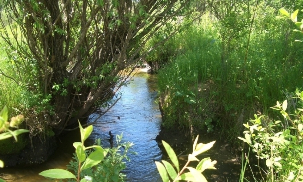 一年级语文上册五字与拼音（一）课件